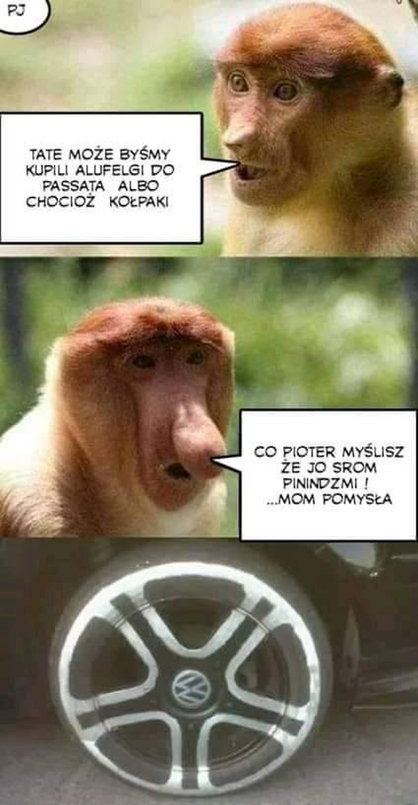 Janusz ma pomysł :D