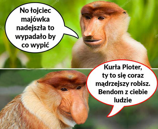 Mądrego to i warto posłuchać :D
