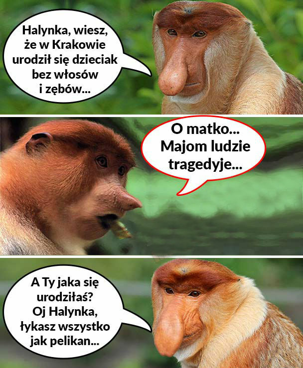 Ludzka tragedyja