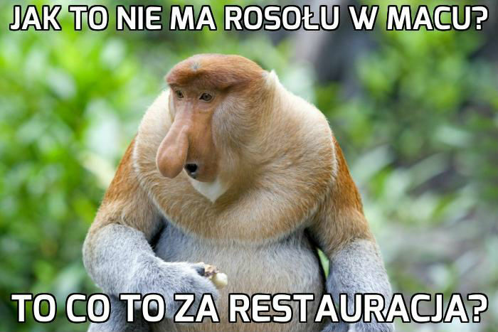 Rosół w Macu. Epickie podsumowanie Janusza :D