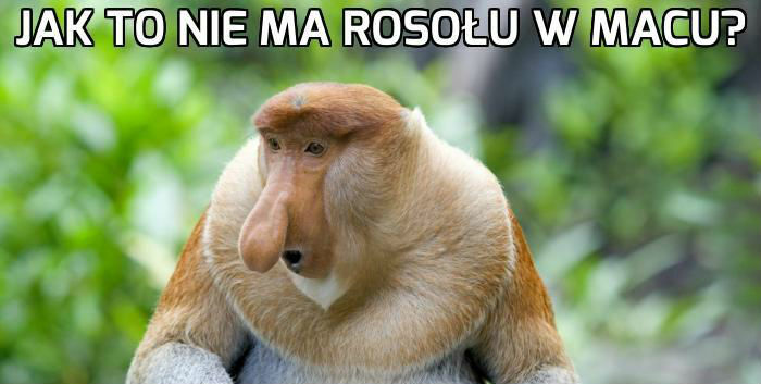 Rosół w Macu. Epickie podsumowanie Janusza :D