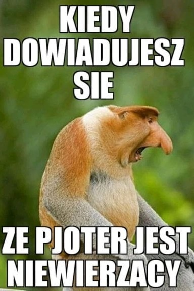 Janusz ma zawał