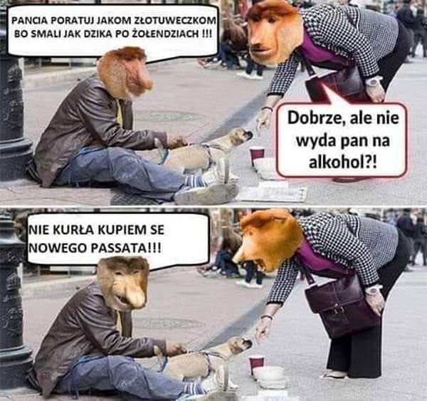 Szczery Januszek :D