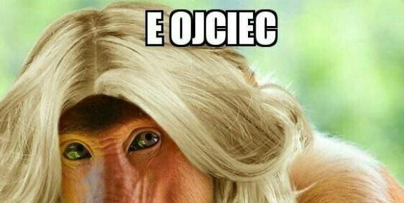 Typowy ojciec w akcji