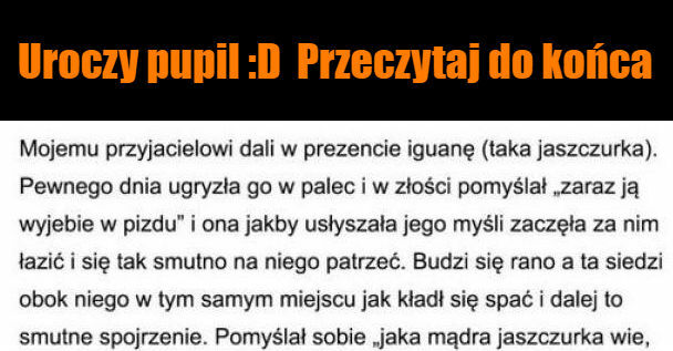 Uroczy pupil :D