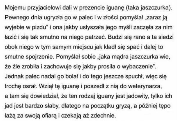 Uroczy pupil :D