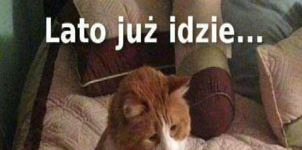 Kiedy lato nadchodzi