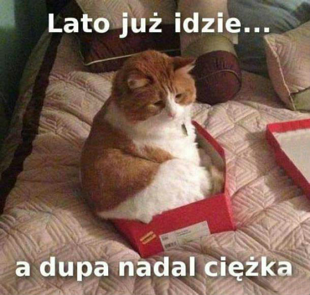 Kiedy lato nadchodzi
