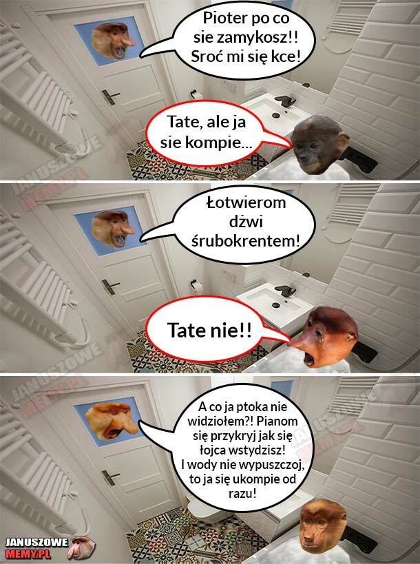 Tate, ale ja sie kompie