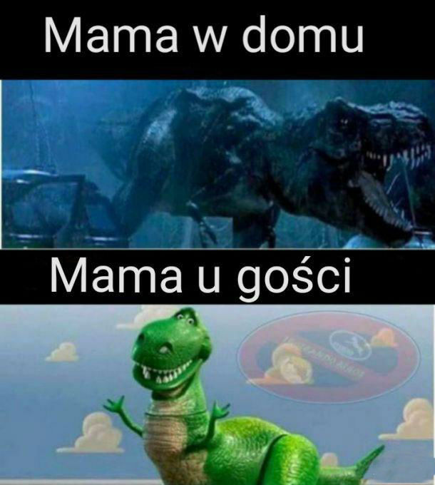 Mama u gości