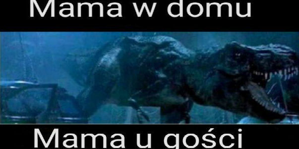 Mama u gości