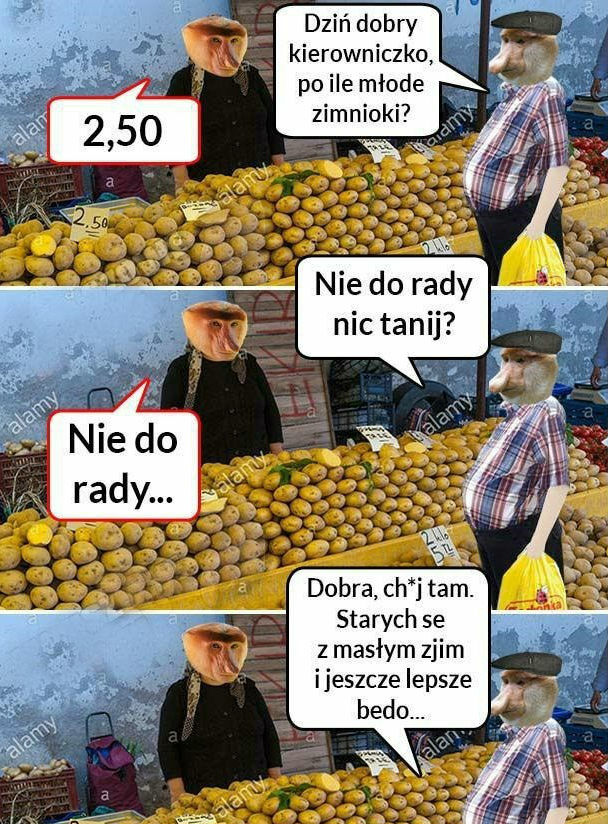 Młode zimnioki