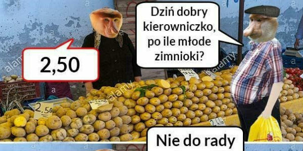 Młode zimnioki