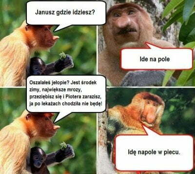 Idę na pole :D 