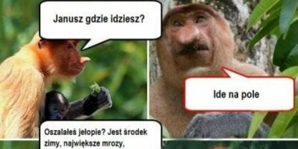 Idę na pole :D 