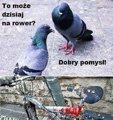 Co dzisiaj? :D 