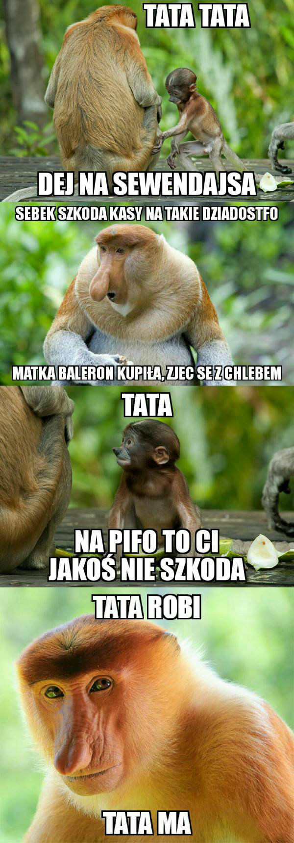 Co wybierze Janusz: 7daysa czy piwo?