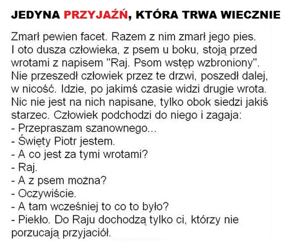 Przyjaźń, która trwa wiecznie...