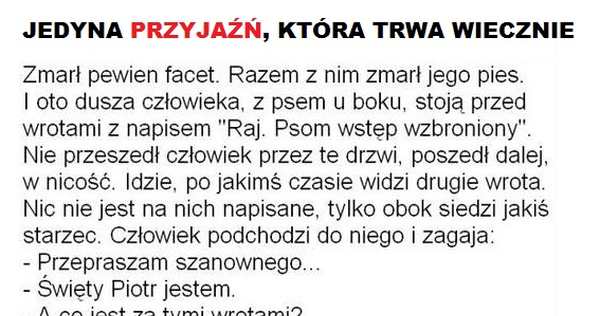Przyjaźń, która trwa wiecznie...
