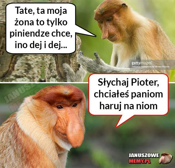 Pioterowa żona :D 