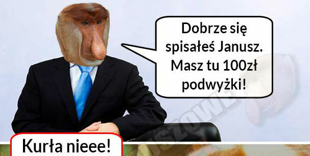 Podwyżka Janusza :D 