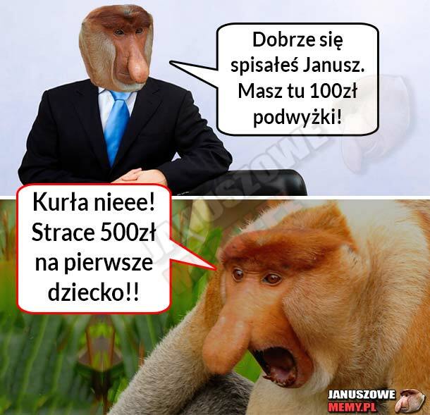 Podwyżka Janusza :D 