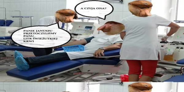 Litr świeżej krwi :D 