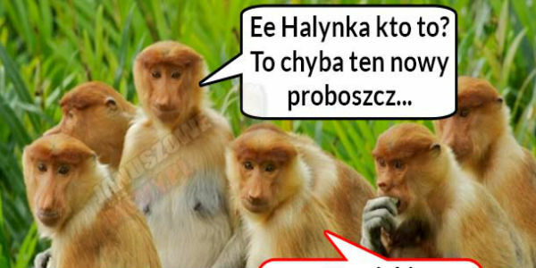 Nowy ksiądz :D 