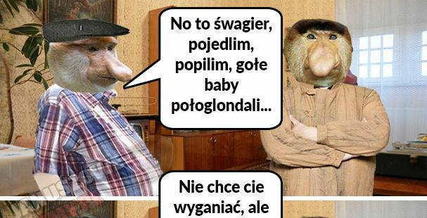 Wizyta śfagra 