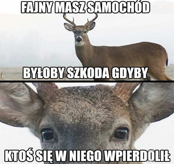 Byłoby bardzo szkoda :D