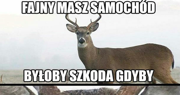 Byłoby bardzo szkoda :D