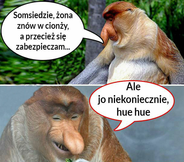 Kiedy Halynka zajdzie w kolejną ciążę