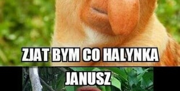 Kiedy Janusz coś by wszamał :D
