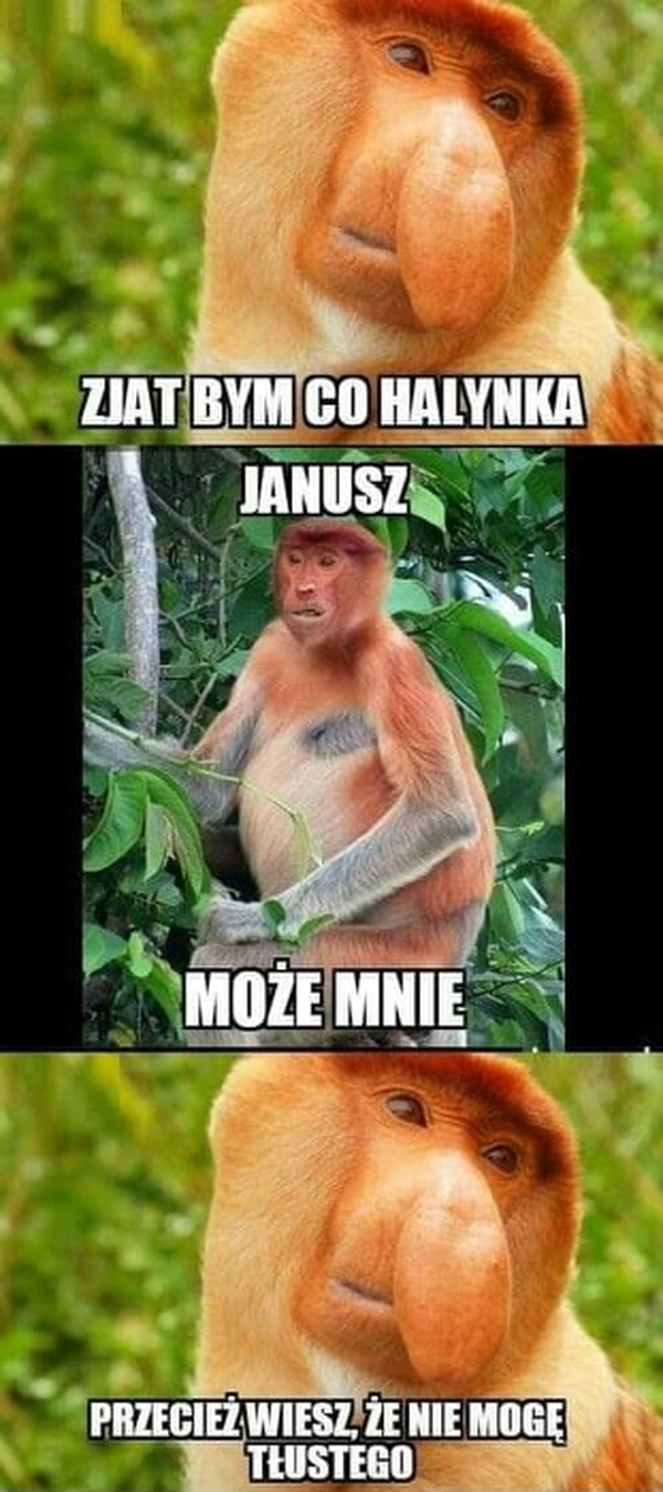 Kiedy Janusz coś by wszamał :D