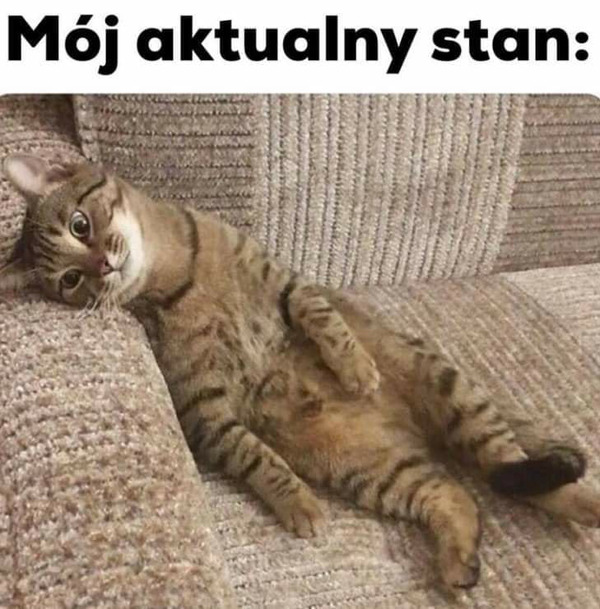 Mój aktualny stan :(
