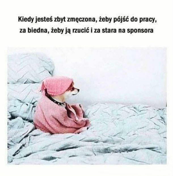 Bieda :( 
