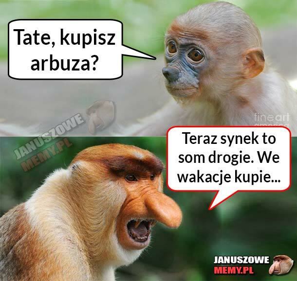 Arbuzy dla Pjotera :D 