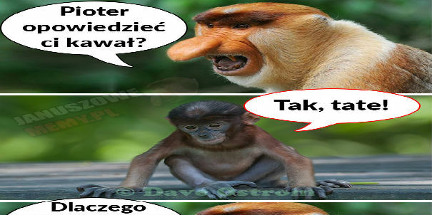 Dowcip Janusza :D 