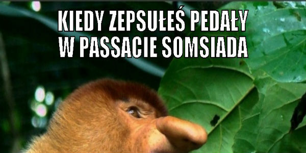 Pedały w Passacie :D 
