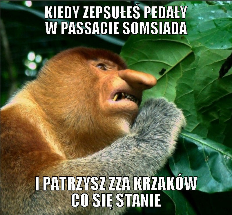 Pedały w Passacie :D 