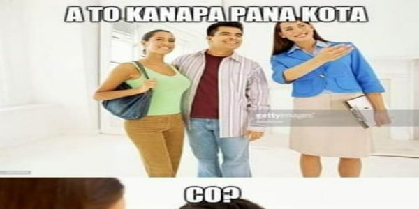 Kanapa kota 
