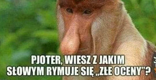 Januszowe rymy :D