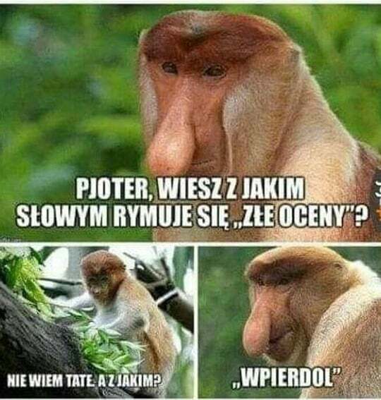 Januszowe rymy :D