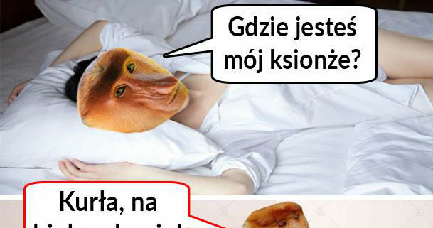 Książę na białym koniu :D
