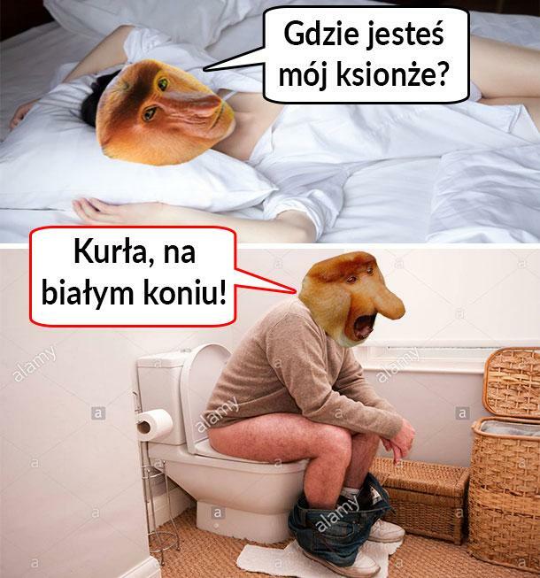 Książę na białym koniu :D
