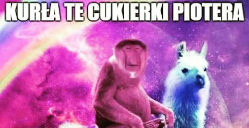 Kiedy Janusza poniesie melanż... :D