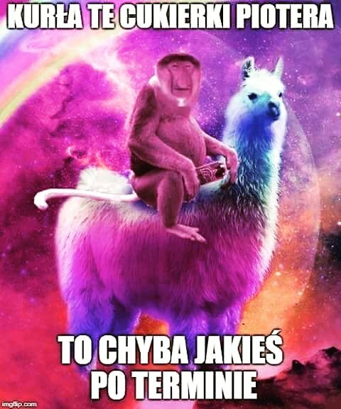 Kiedy Janusza poniesie melanż... :D