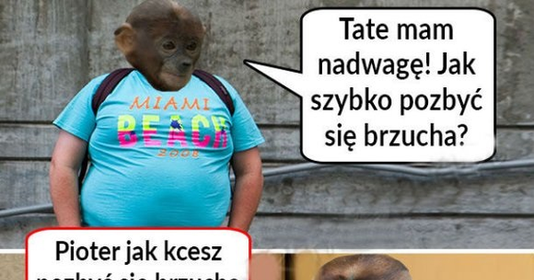 Porada roku :D