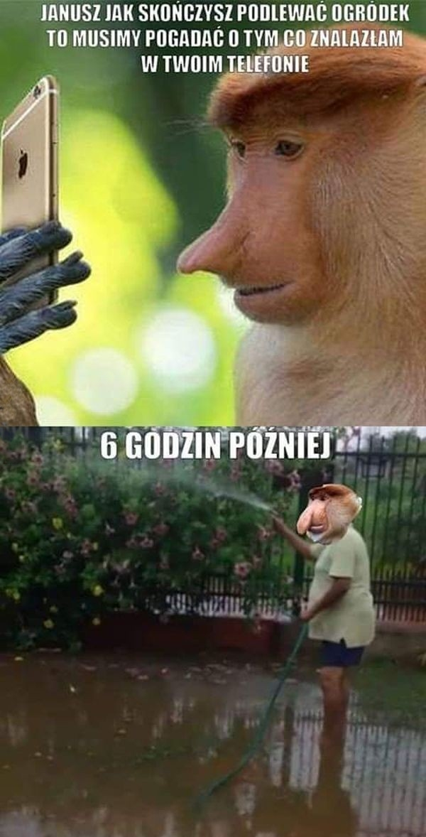 Ale Janusz wtopił :O
