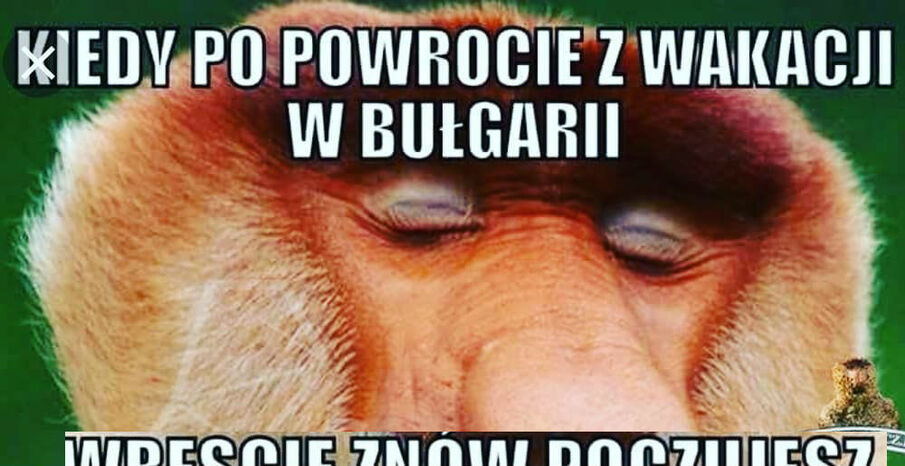 Wczasy w Bułgarii 